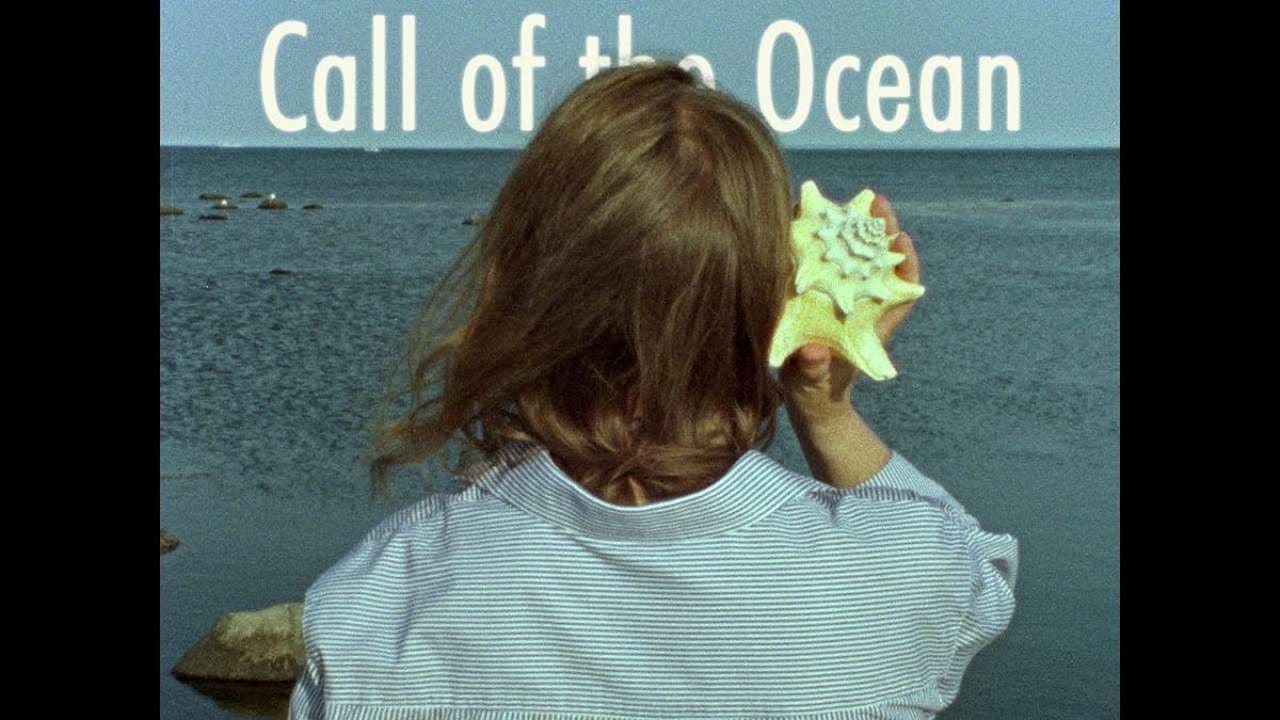 Call of the Ocean