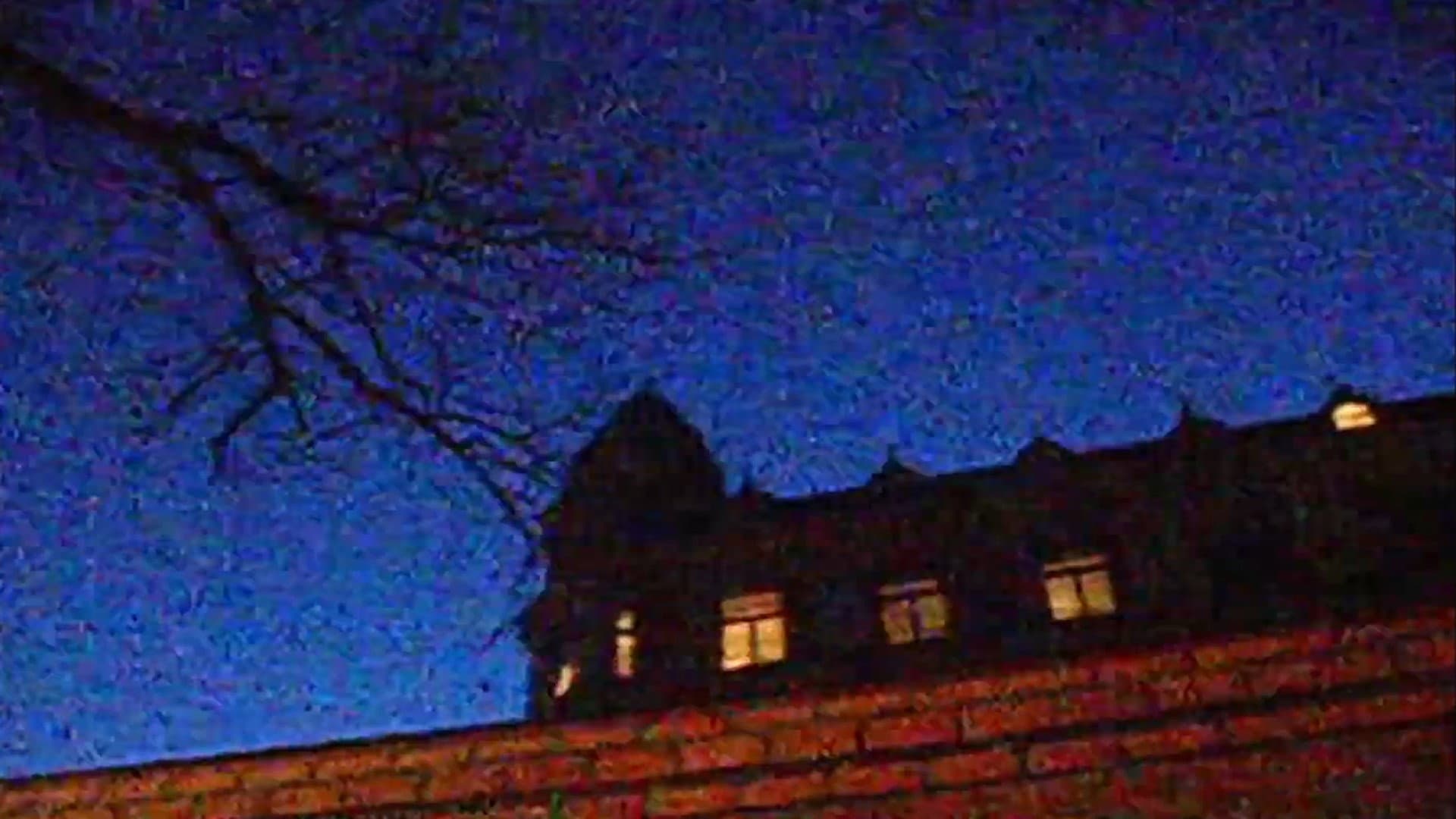 Schillerska & naked trees