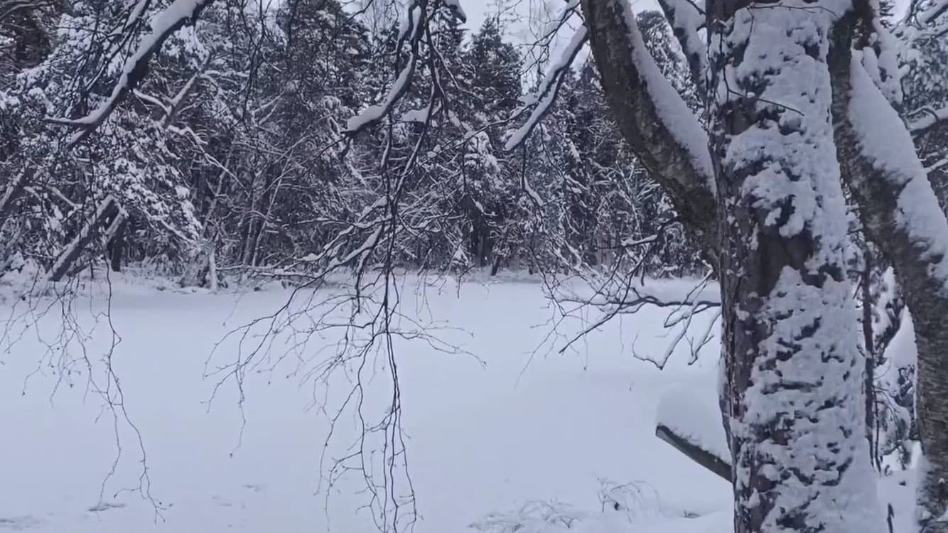 La Féerie Winter