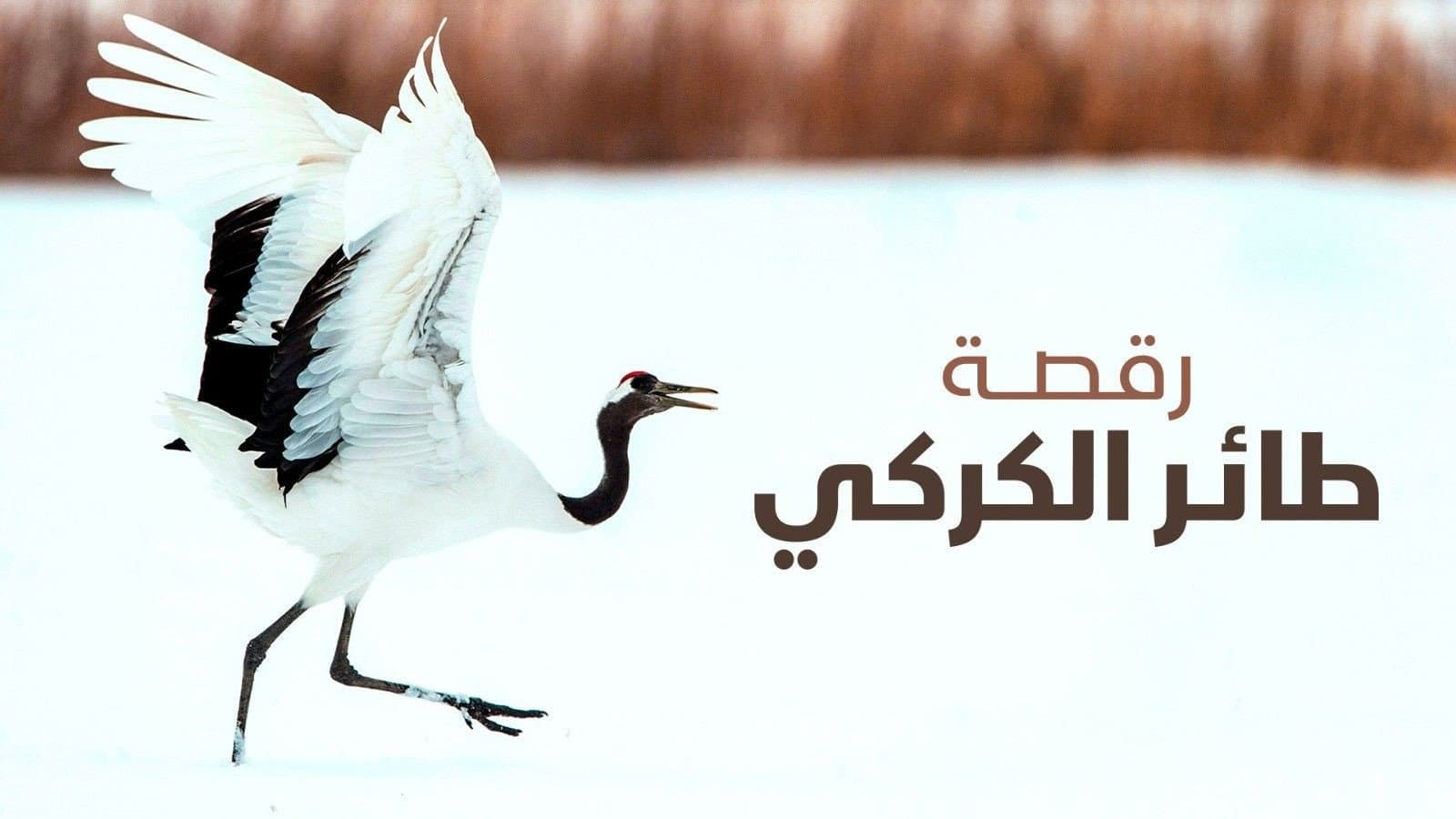 Dance Of The Crane