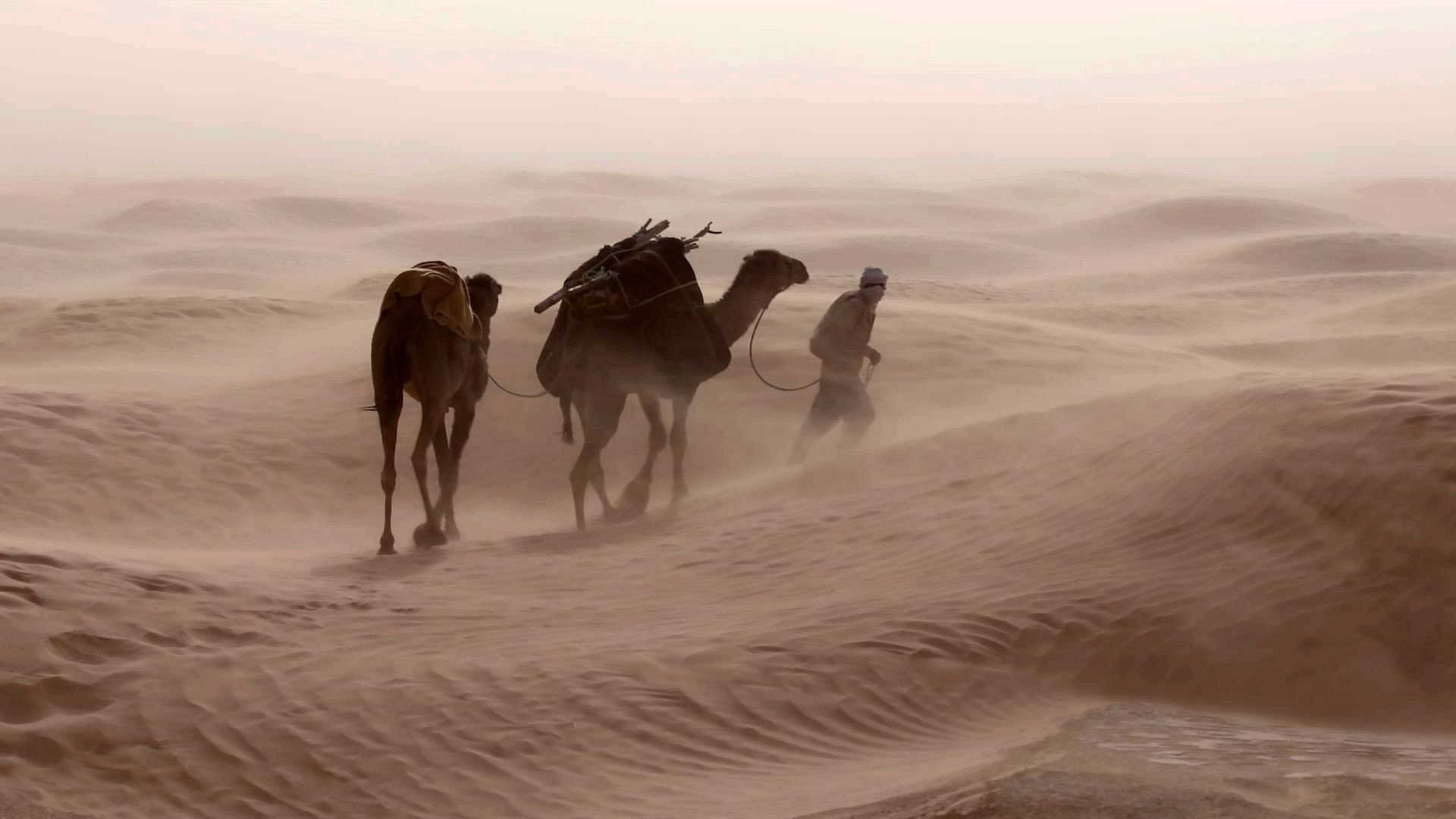 Winds : an Invisible Strength