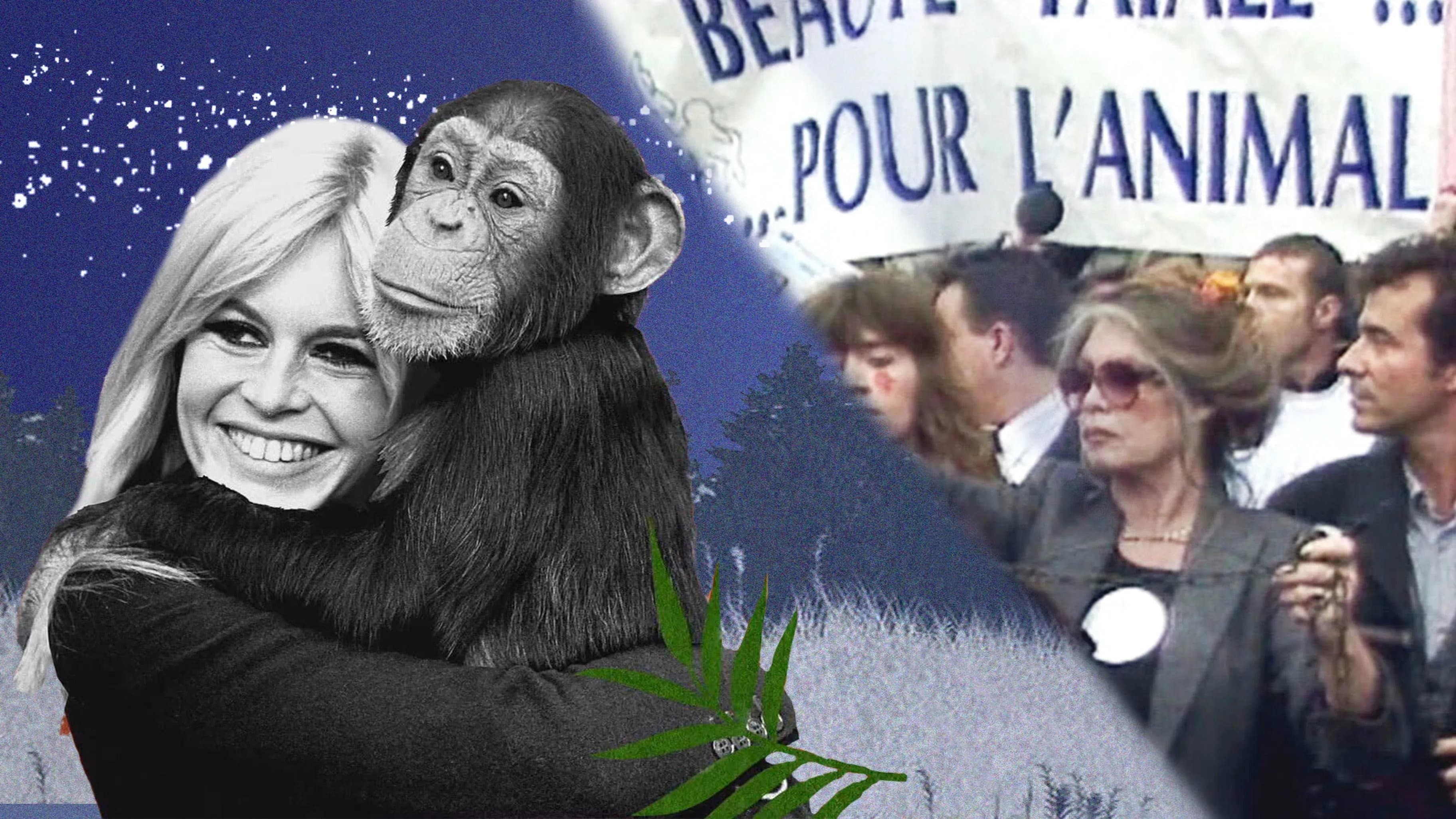 Brigitte Bardot, rebel with a cause