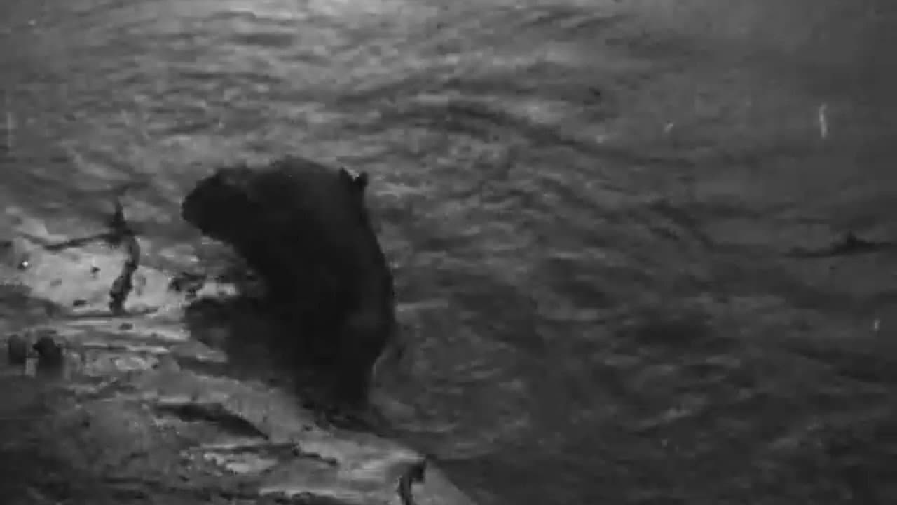 Beavers in Ukraine