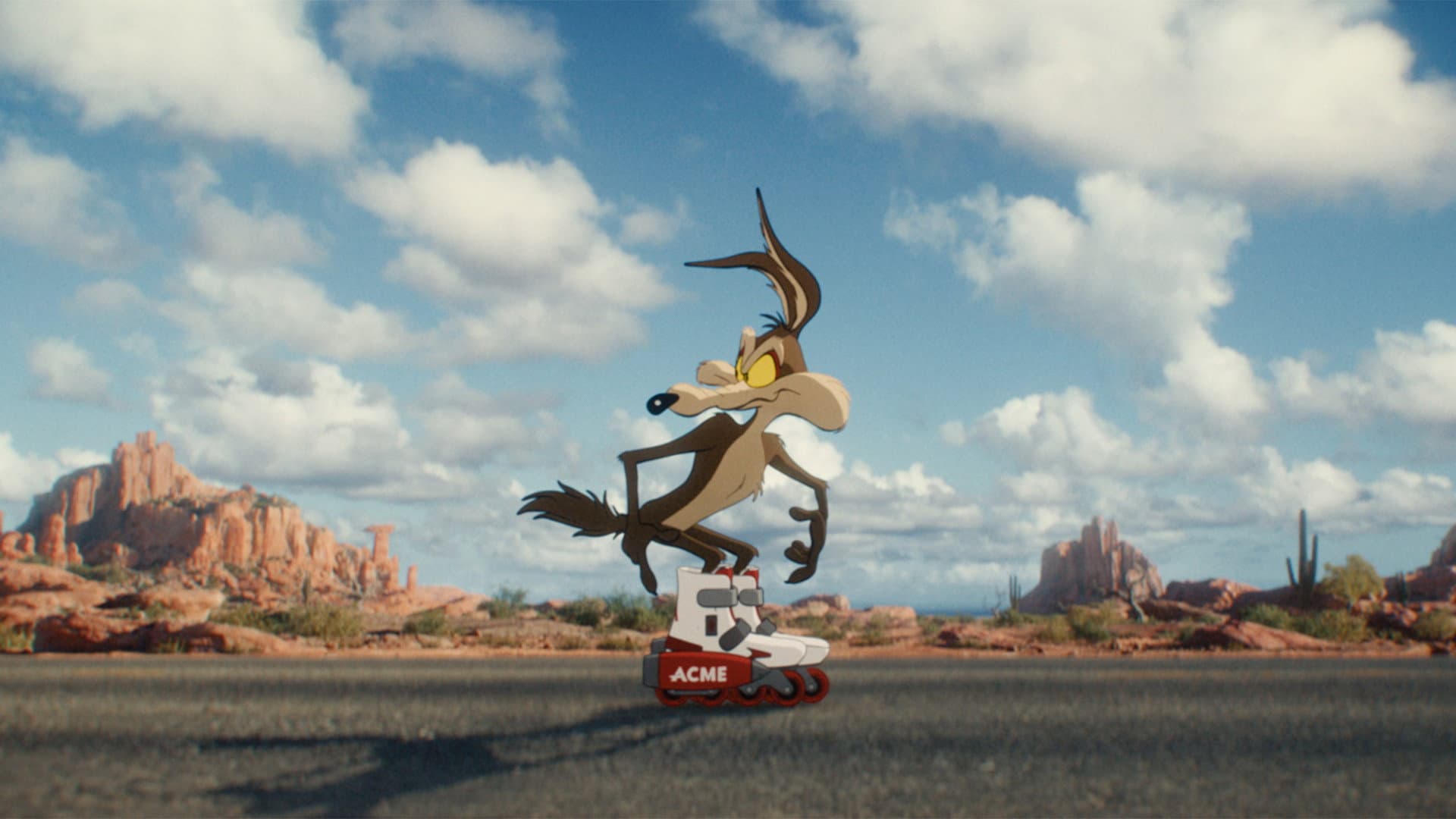 Coyote vs. Acme