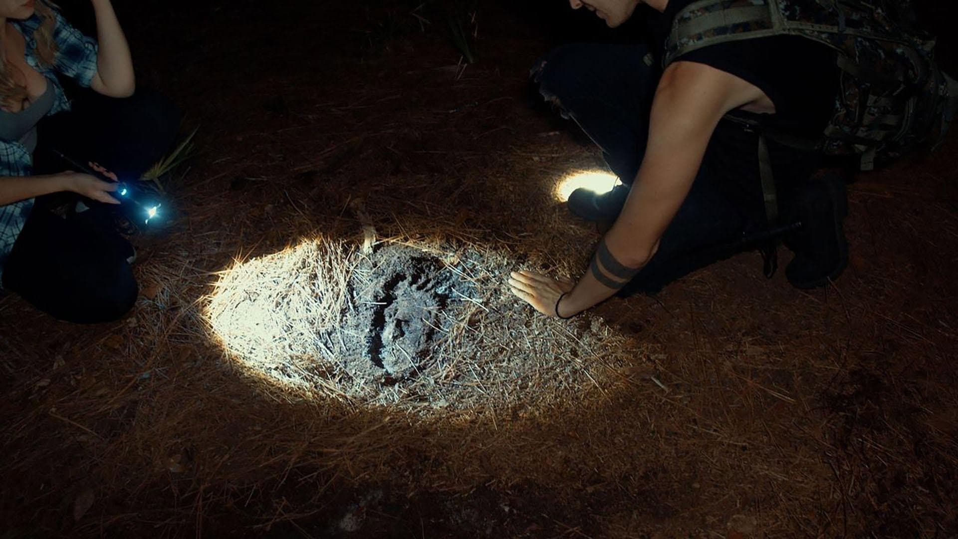 Shadows of Bigfoot