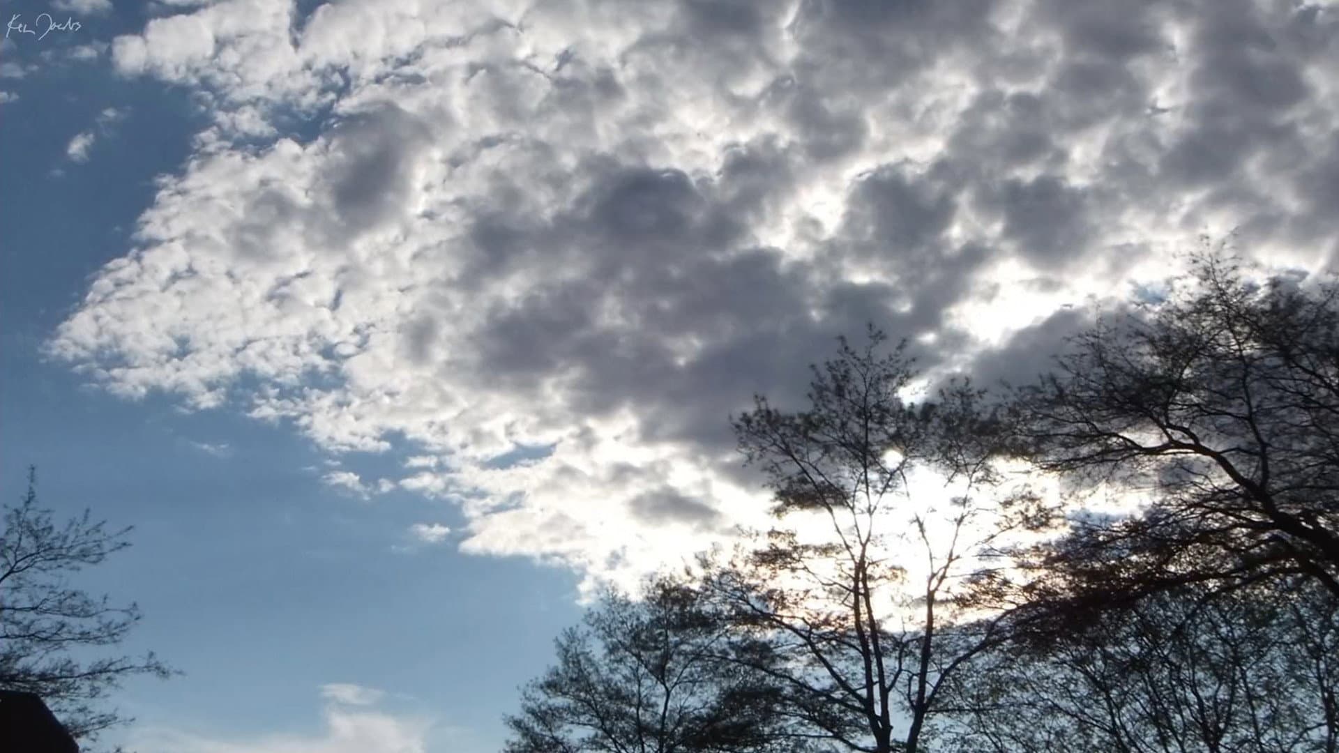 Clouds and Trees