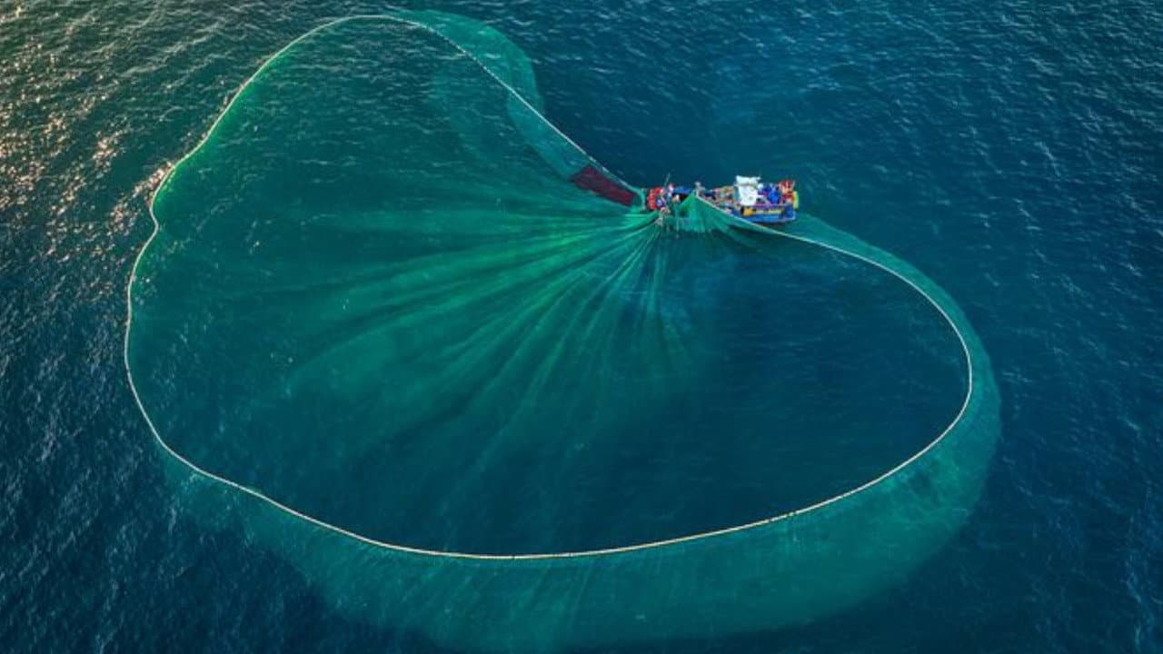 Au nom de la mer : vers une pêche durable ?