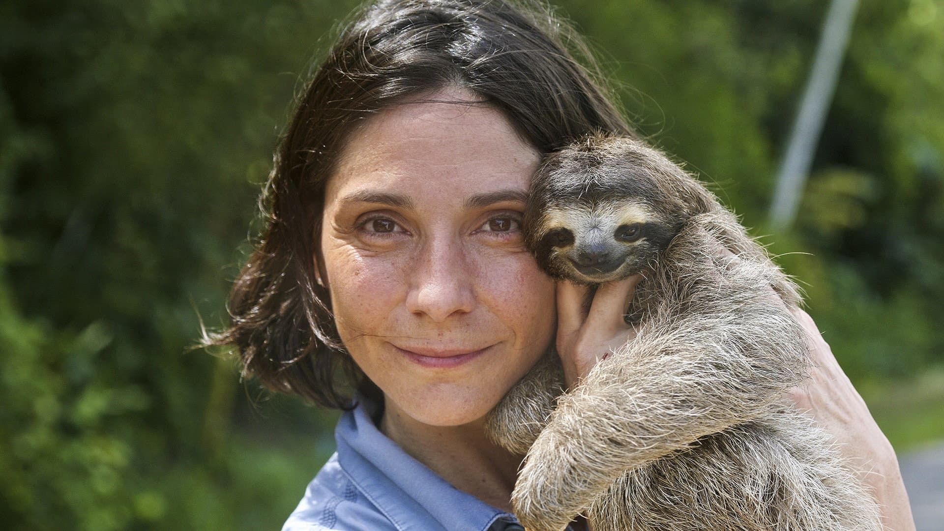 A Sloth Named Velcro