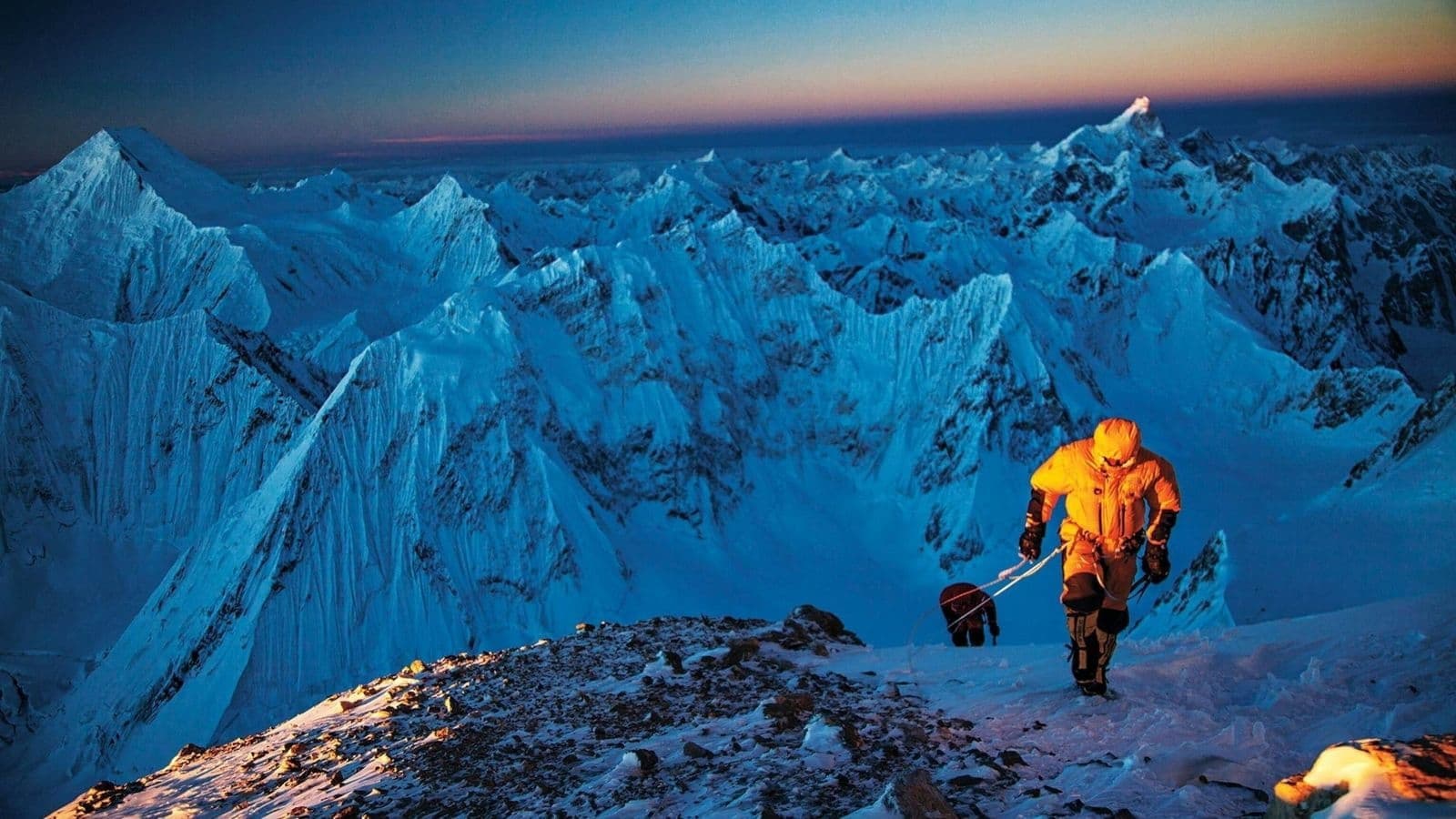 Best of E.O.F.T. No. 8