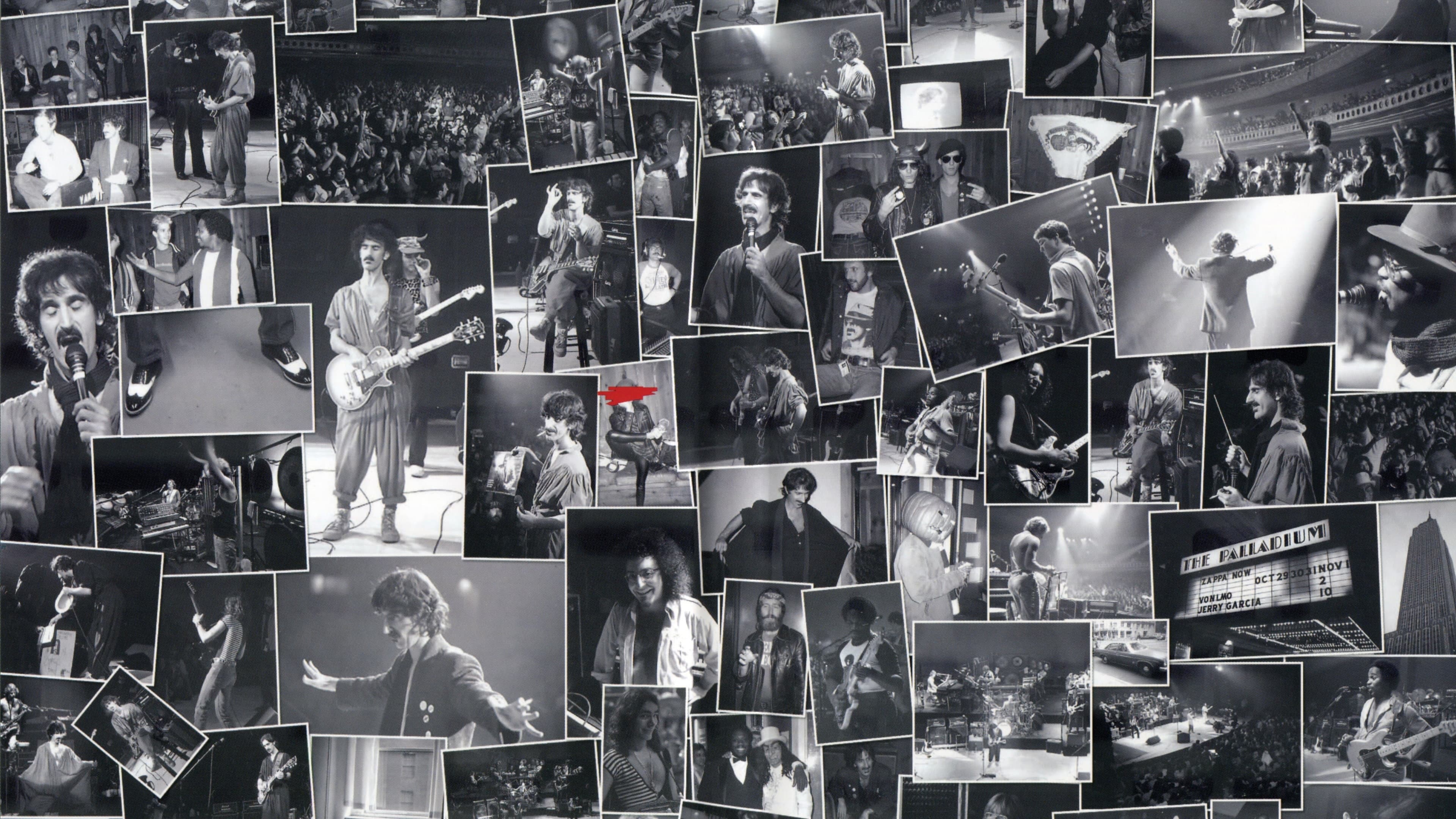 An Evening with Frank Zappa During Which... The Torture Never Stops