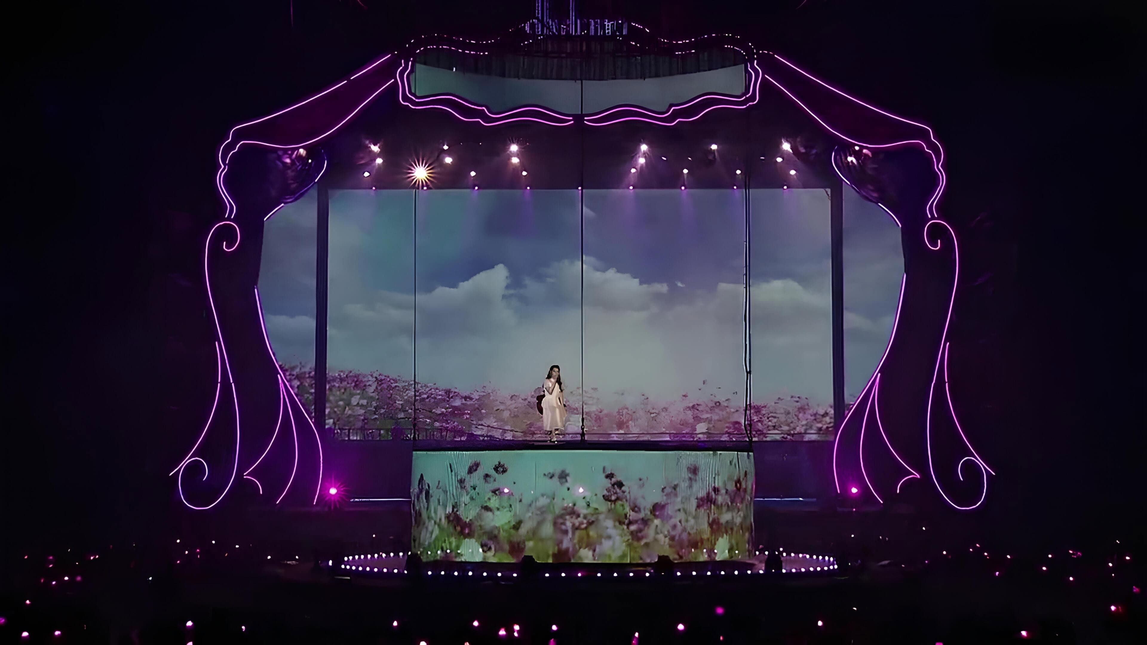 IU 10th Anniversary Concert [dlwlrma.]