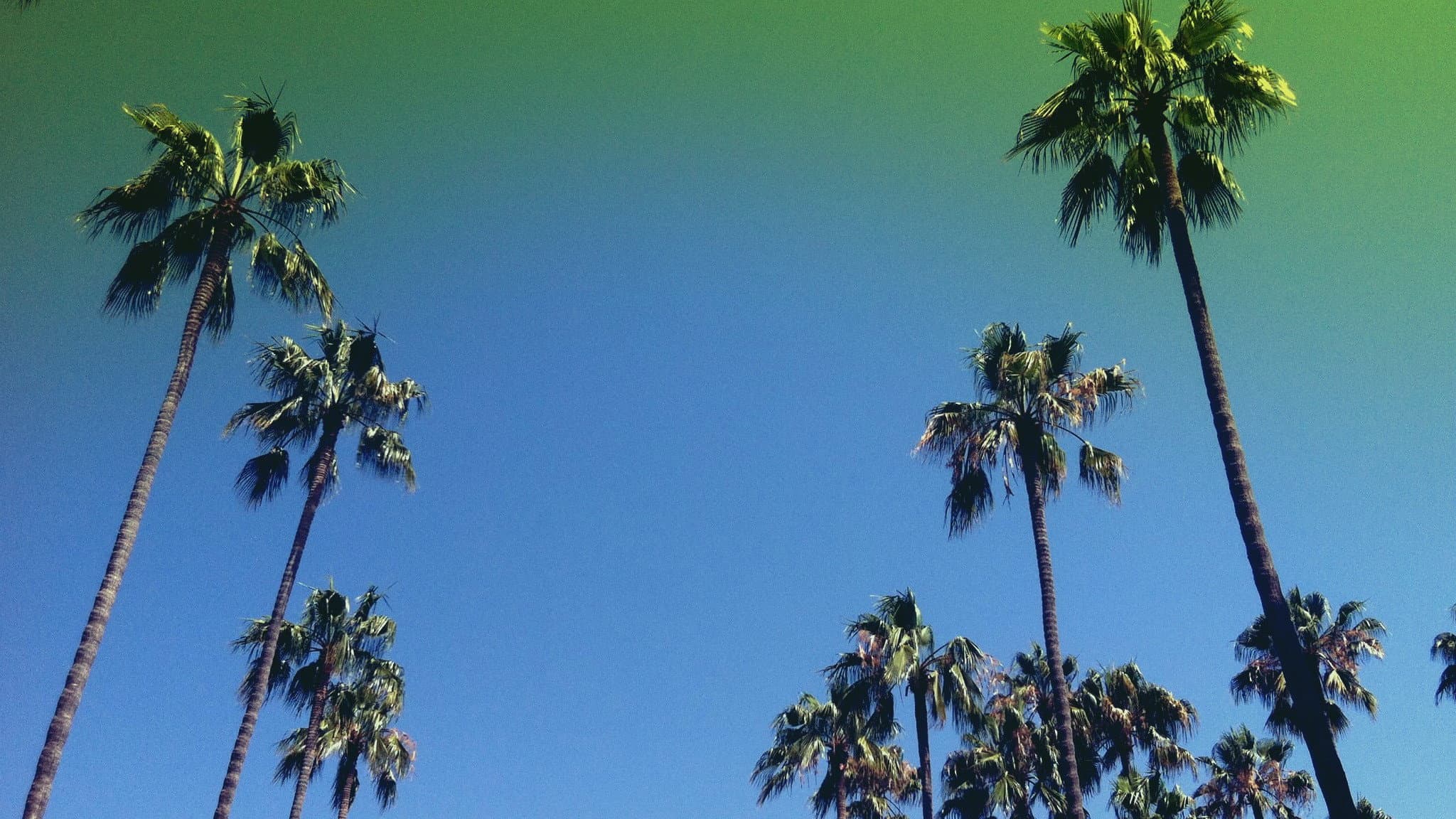 Lost in LA
