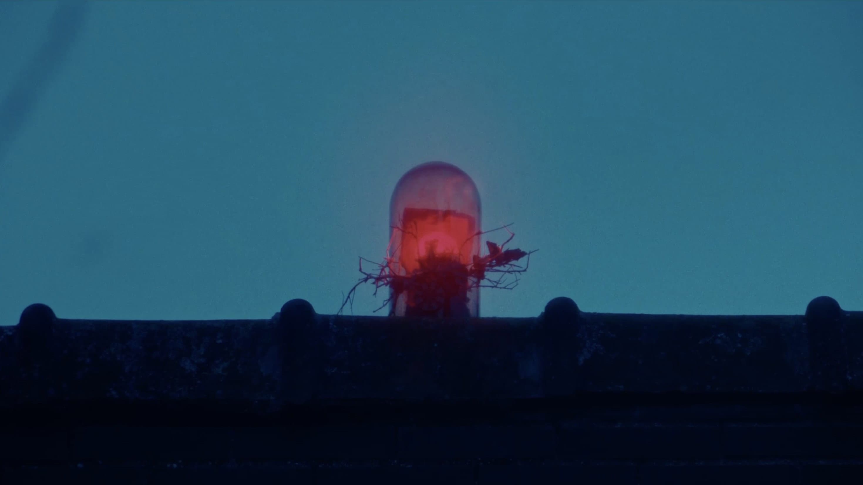 The House of Monsters
