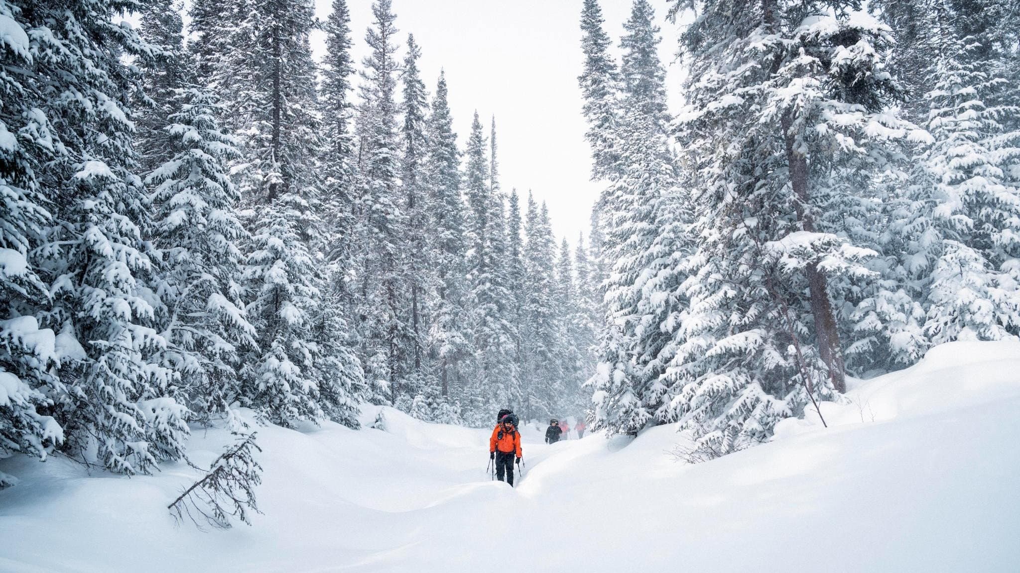 Uapishka