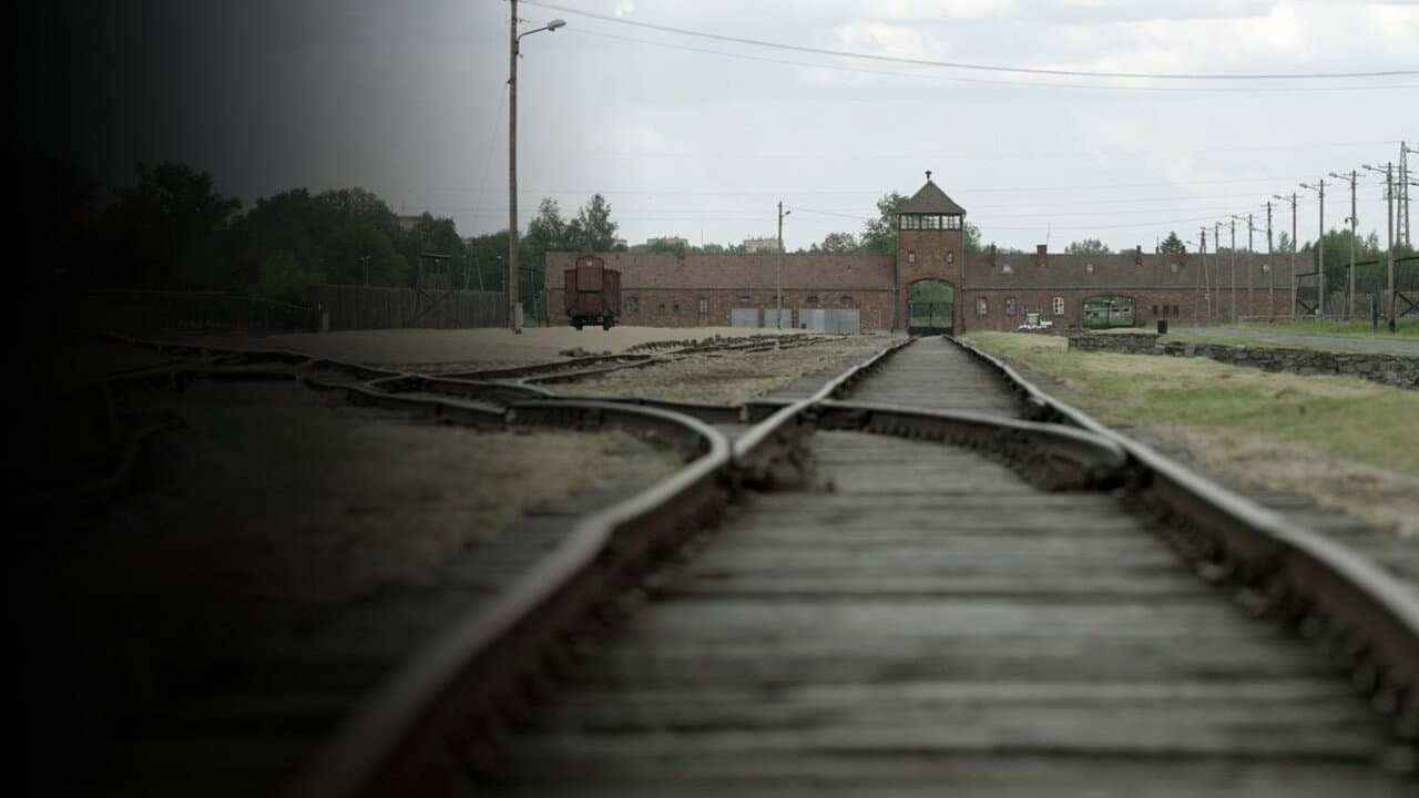 Les Traces D'Auschwitz (2021)