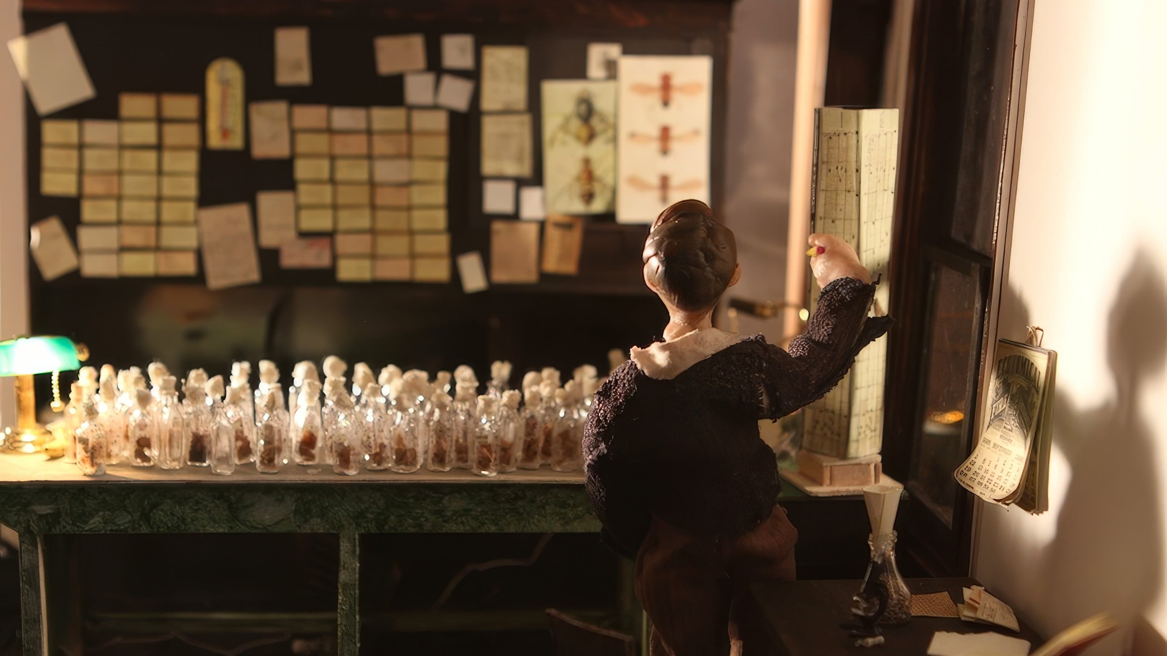 The Fly Room