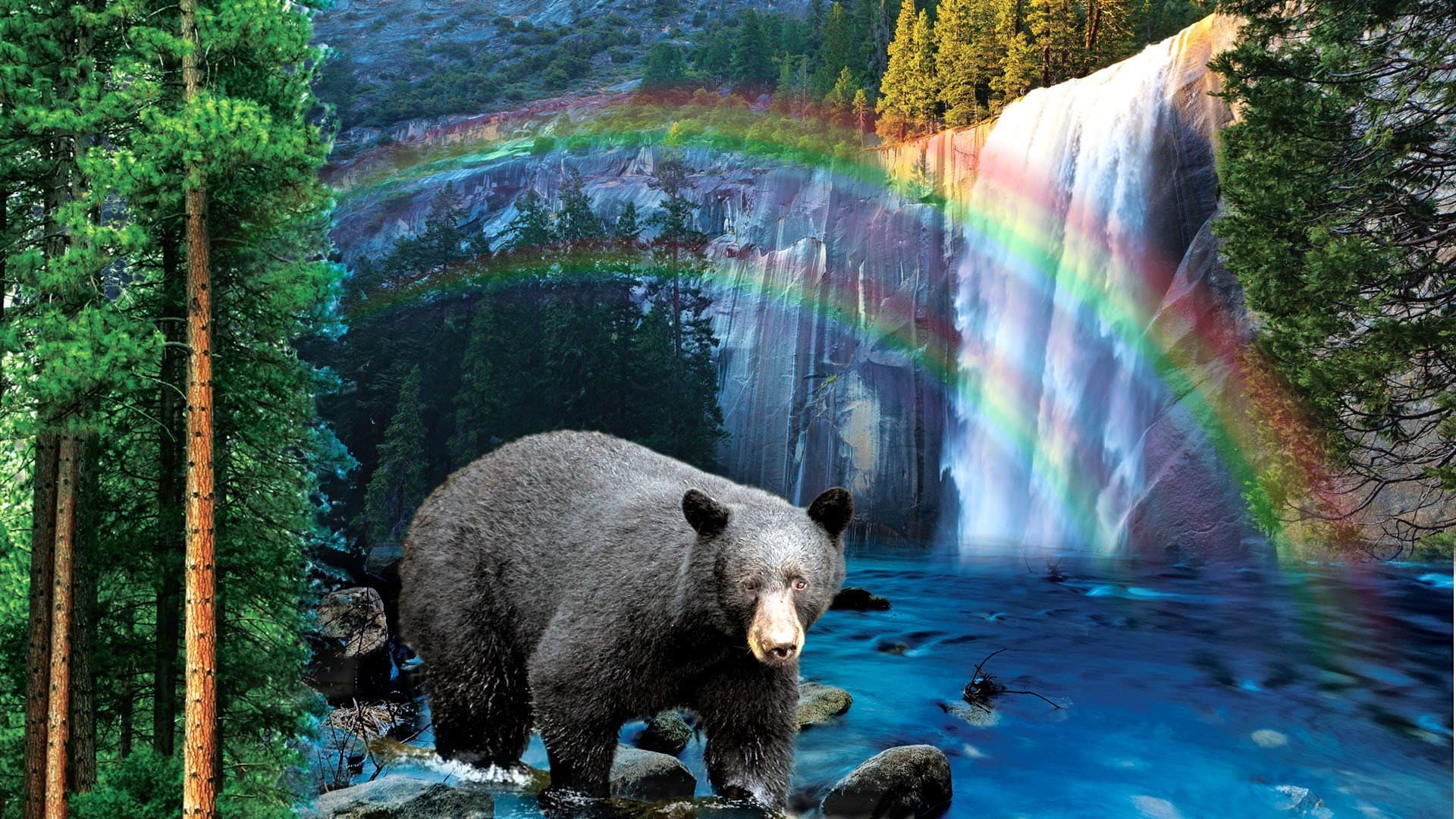 Yosemite: America's Treasure