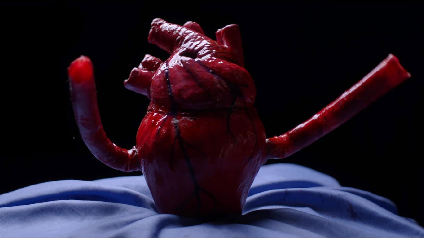 Heart to Heart