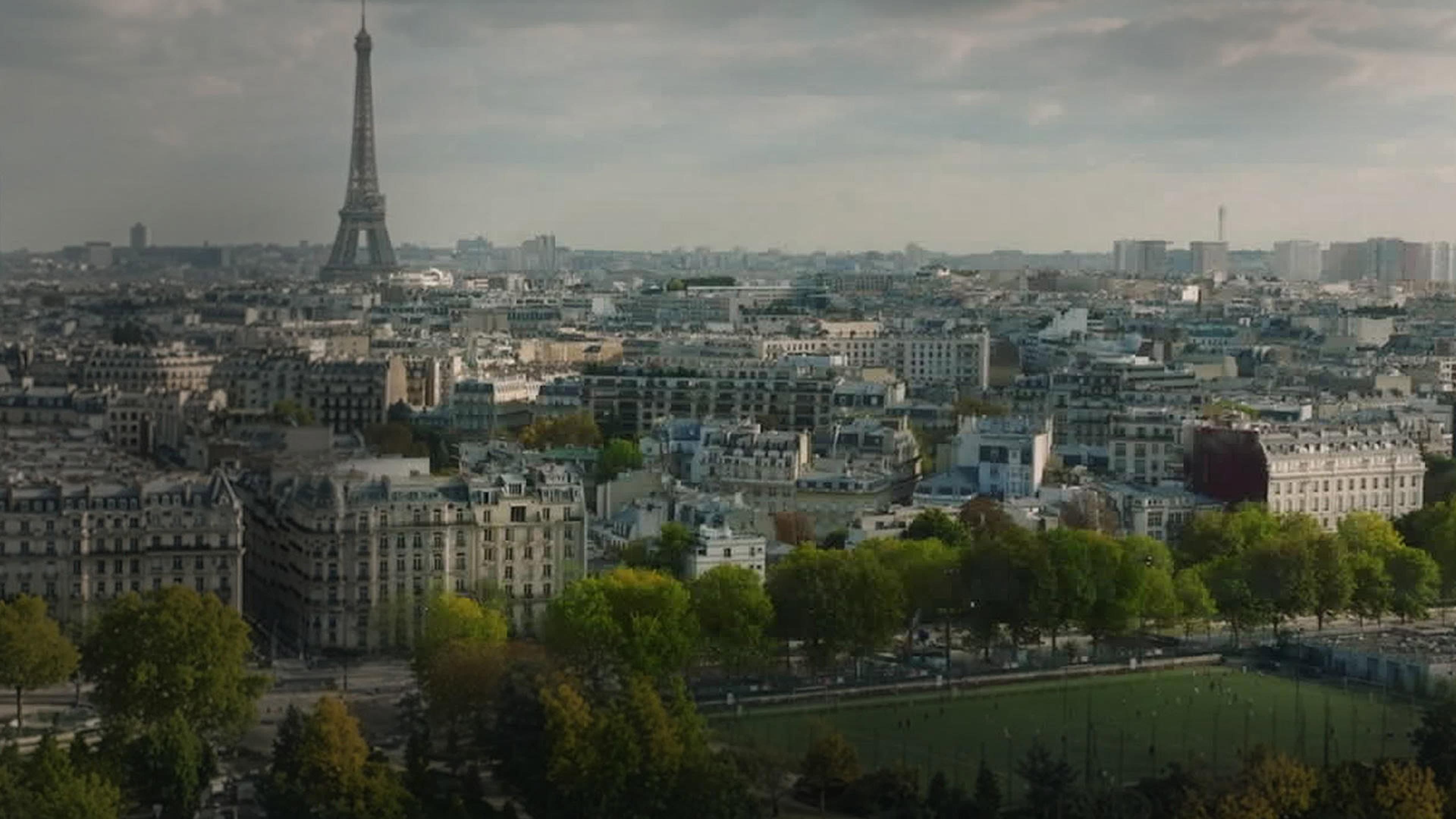 Le Suicide Francais