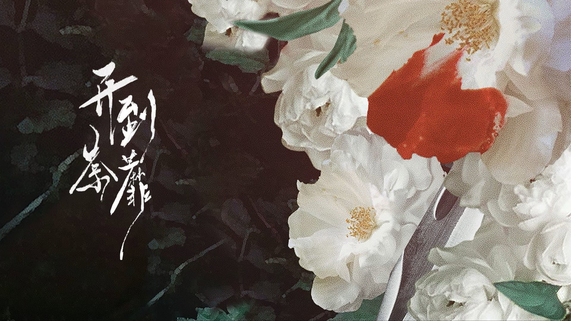 开到荼靡