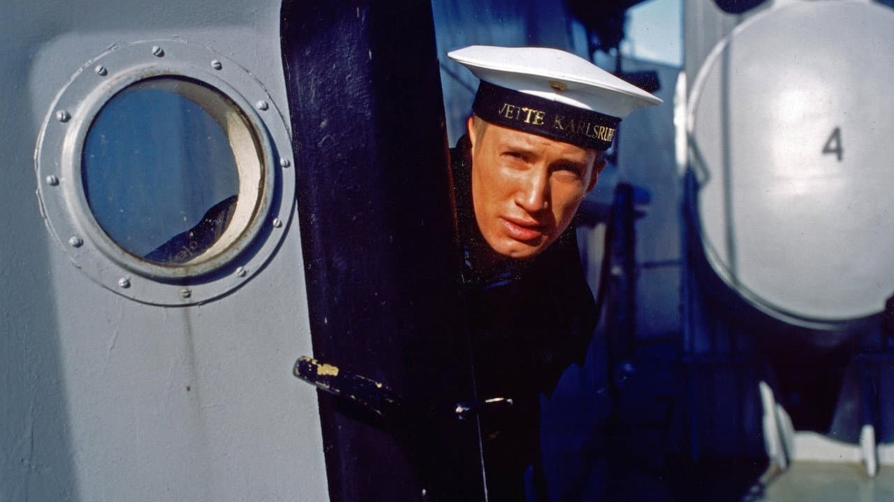 Landing for Ringo