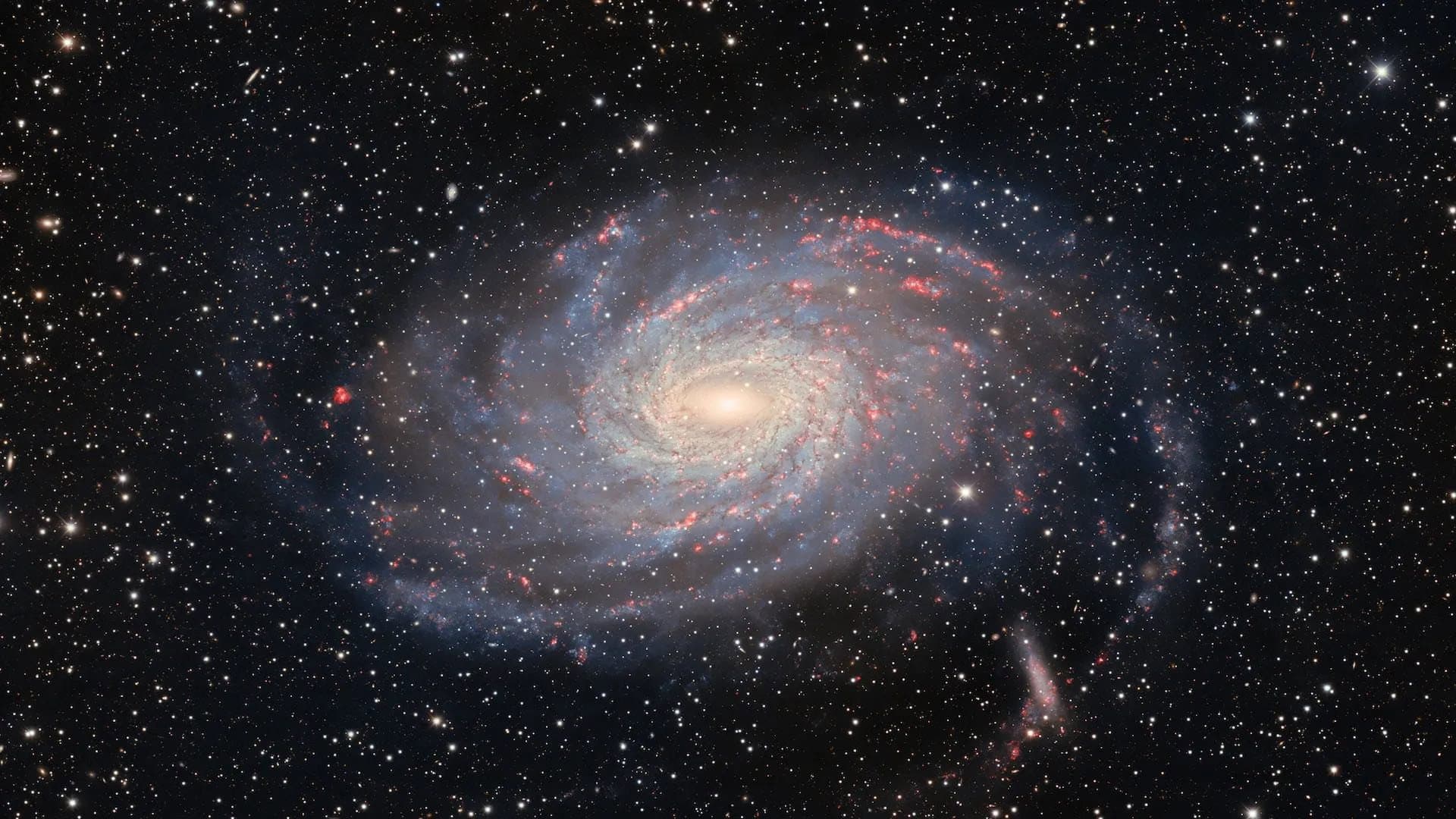 The Character of Physical Law