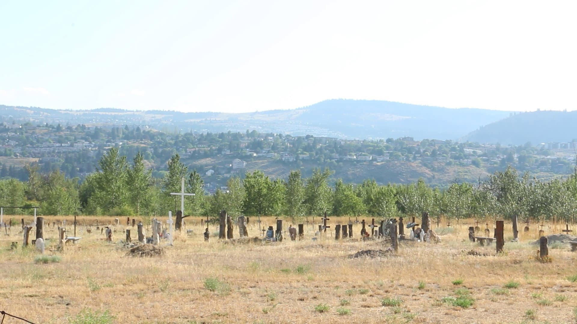 Gentleman Bandit