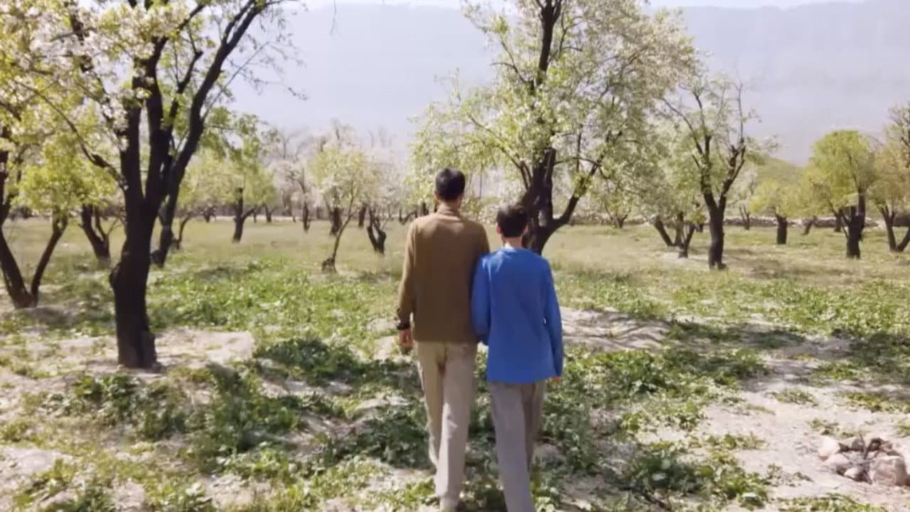 Iran, les visages de la colère