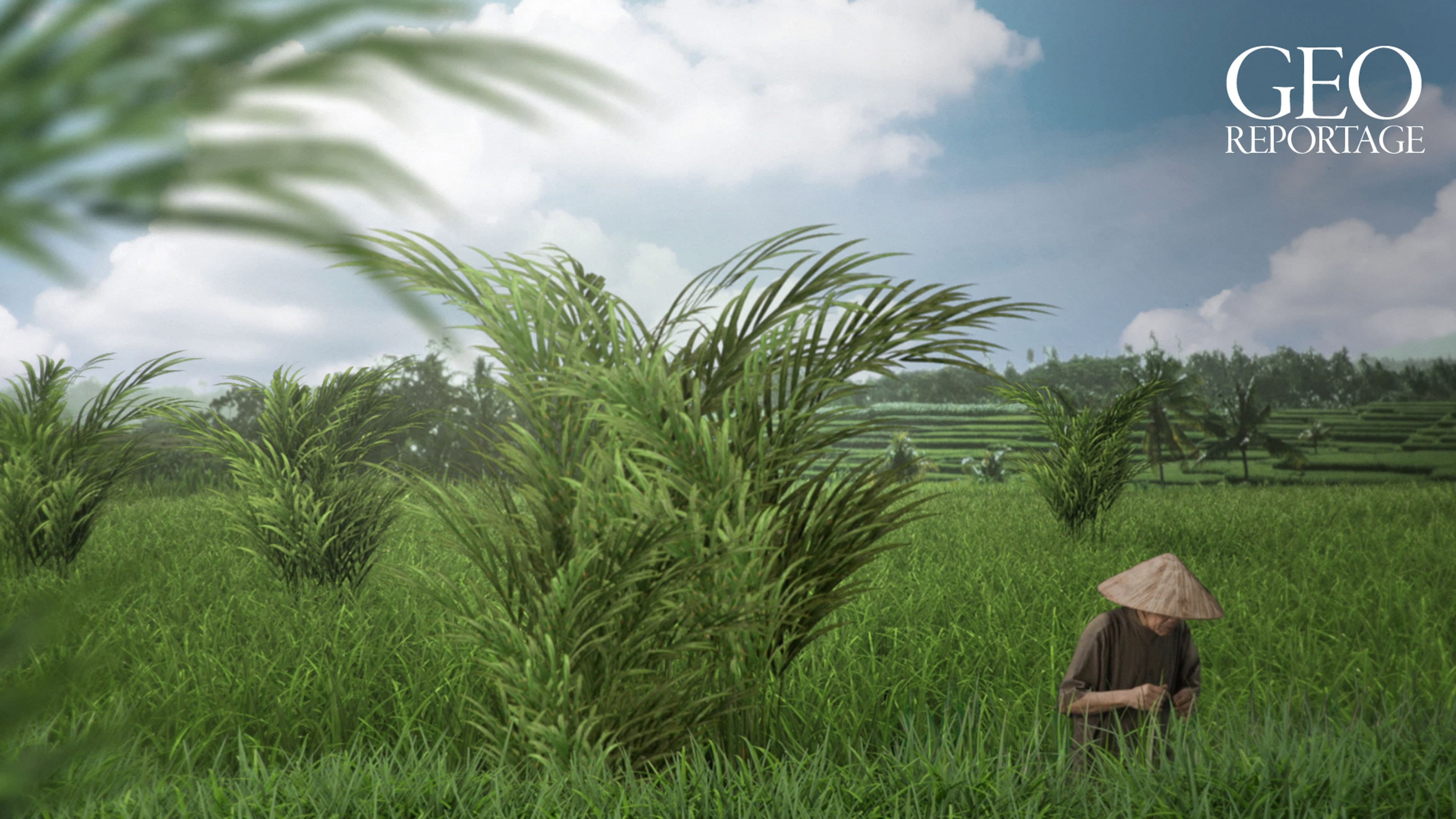 360° Reportage