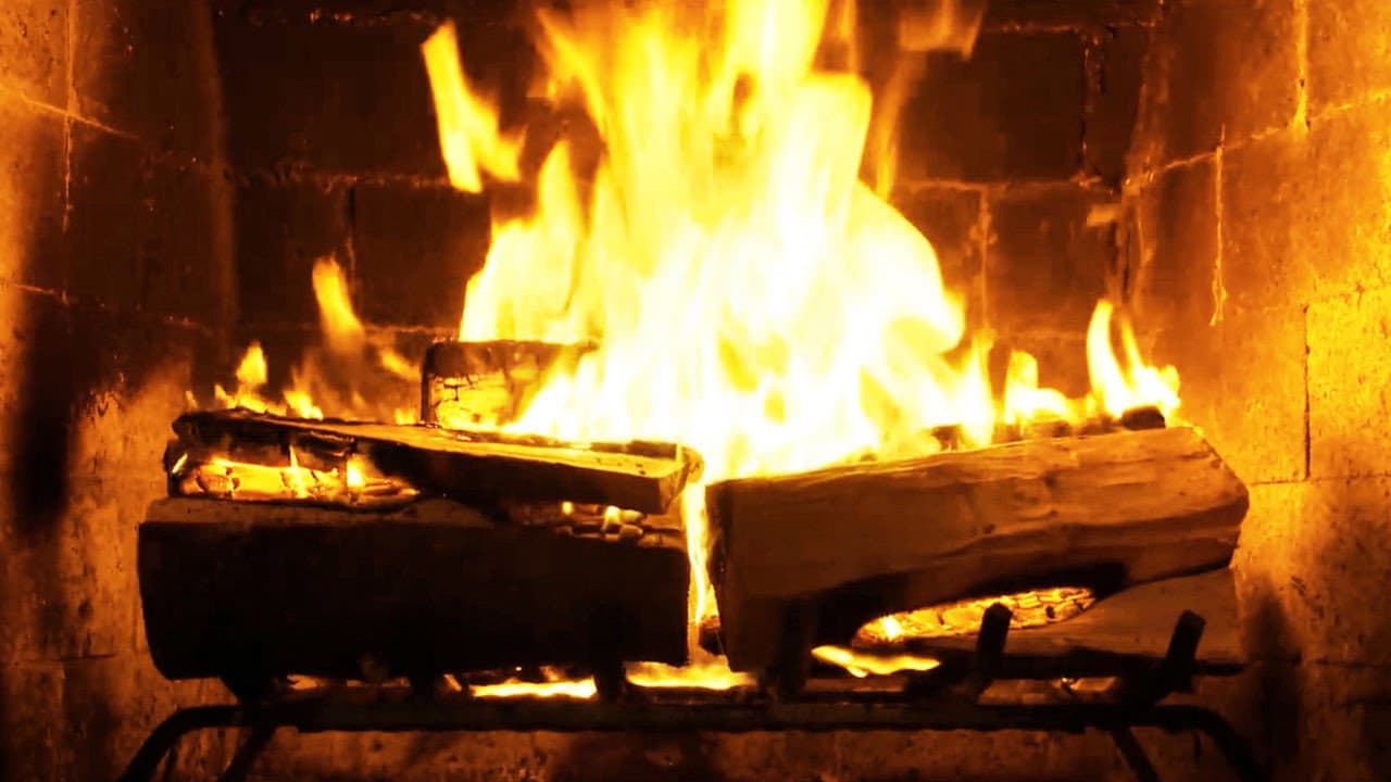 Fireplace for Your Home: Birchwood Edition