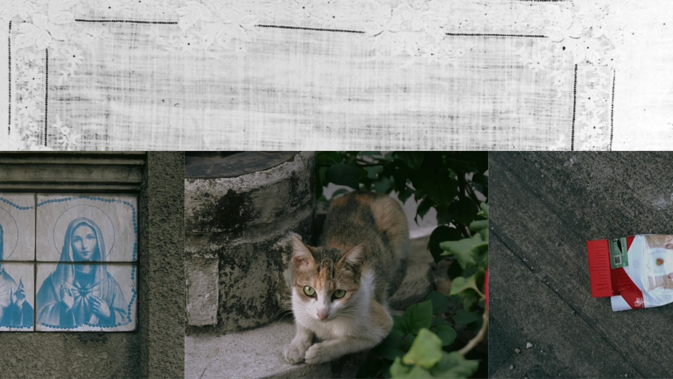 Culishov