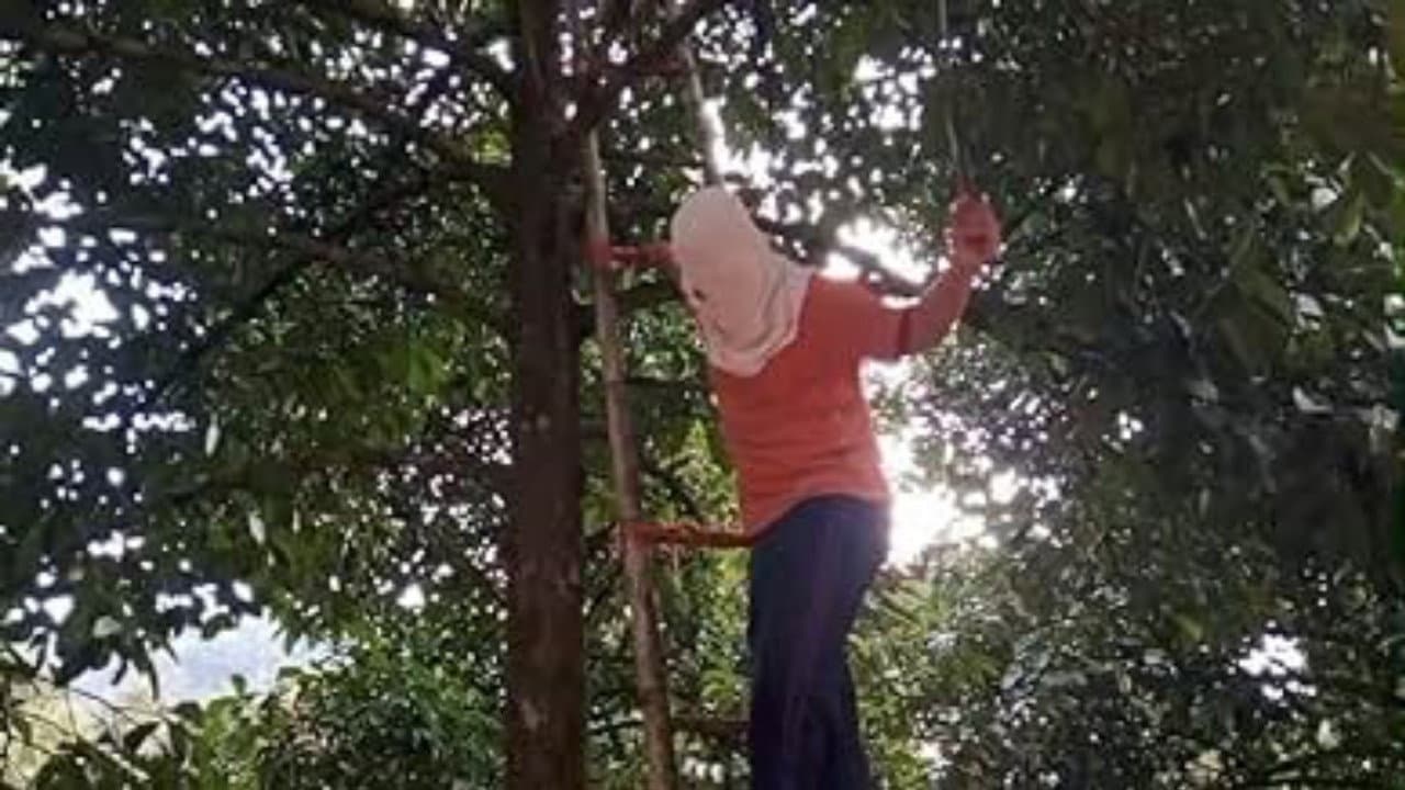 The handsaw murder resurrection