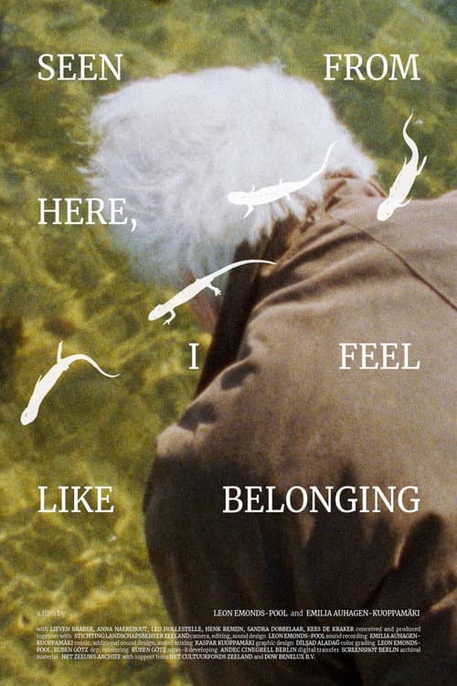 Seen From Here, I Feel Like Belonging