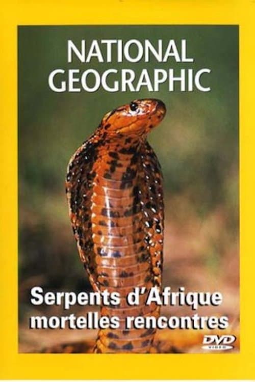 African Snakes