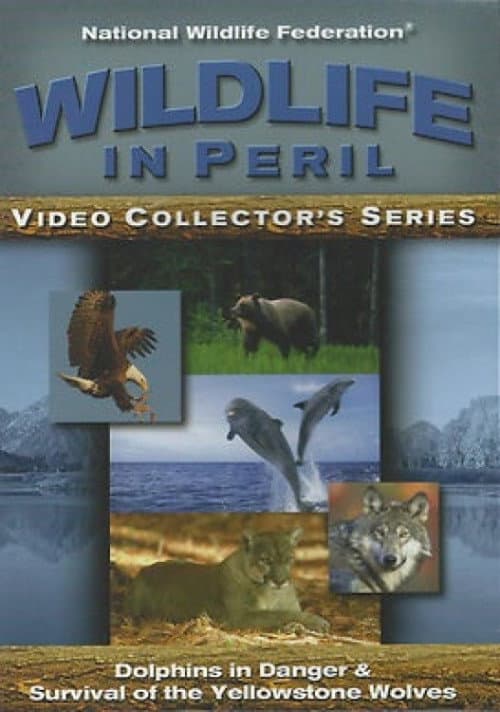 Wildlife in Peril
