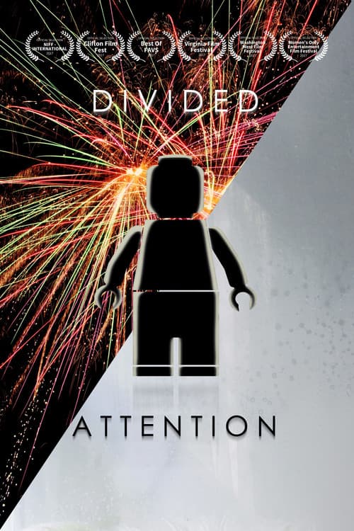 Divided Attention