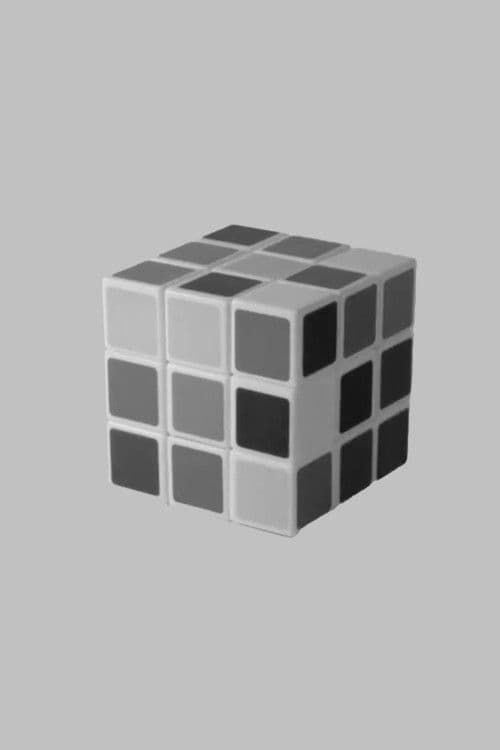 Migration
