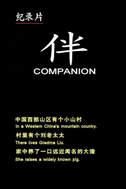 Companion