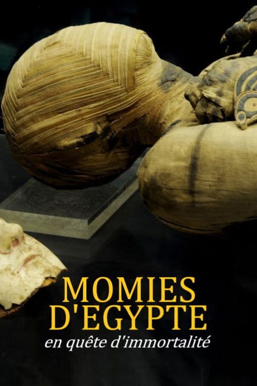 Momies d'Égypte, en quête d'immortalité