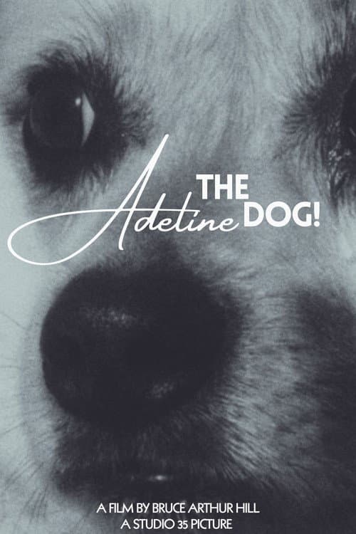 Adeline The Dog!