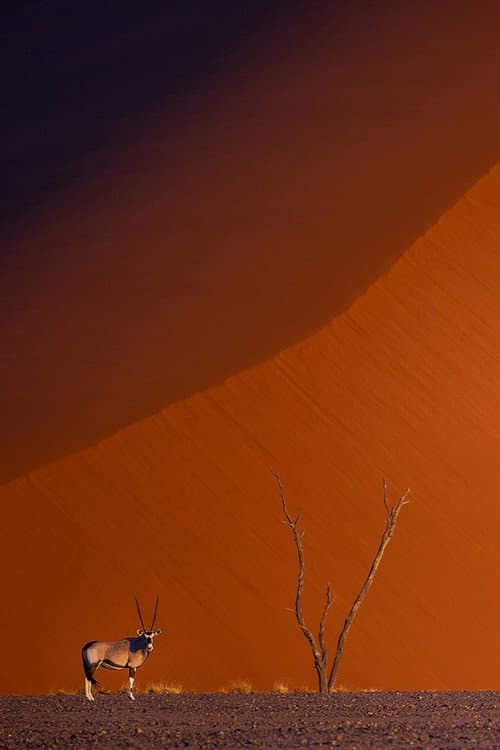 Namibie : exceptionnelle par nature