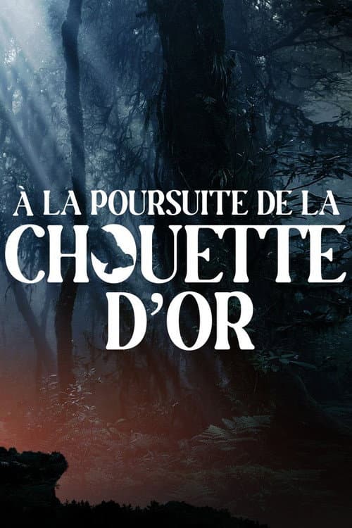 À la poursuite de la chouette d'or