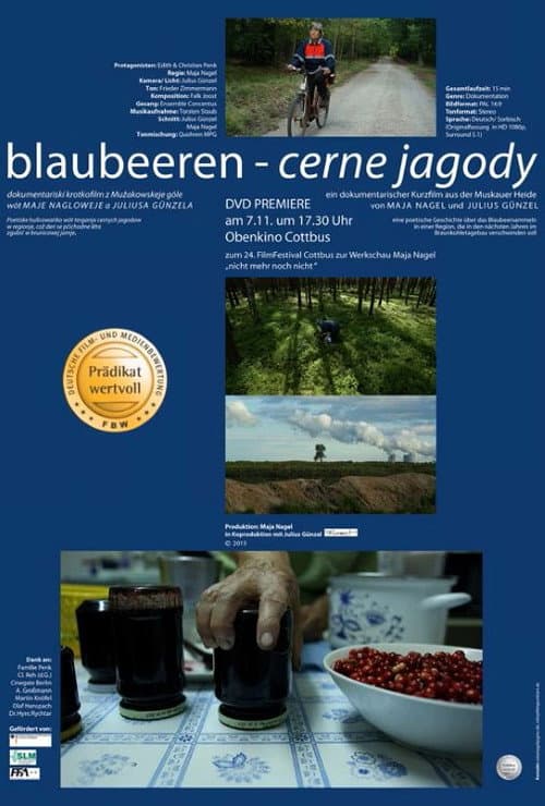 Blaubeeren - Cerne jagody