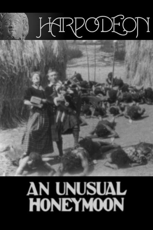An Unusual Honeymoon