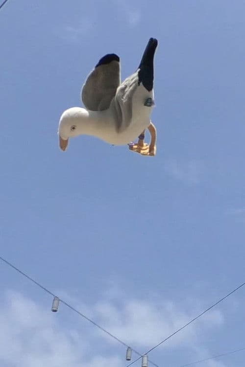 Double Jump