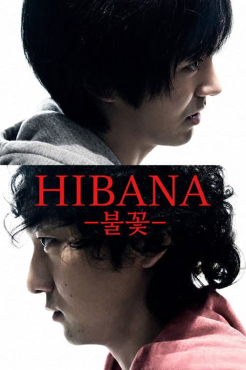 Hibana: Spark