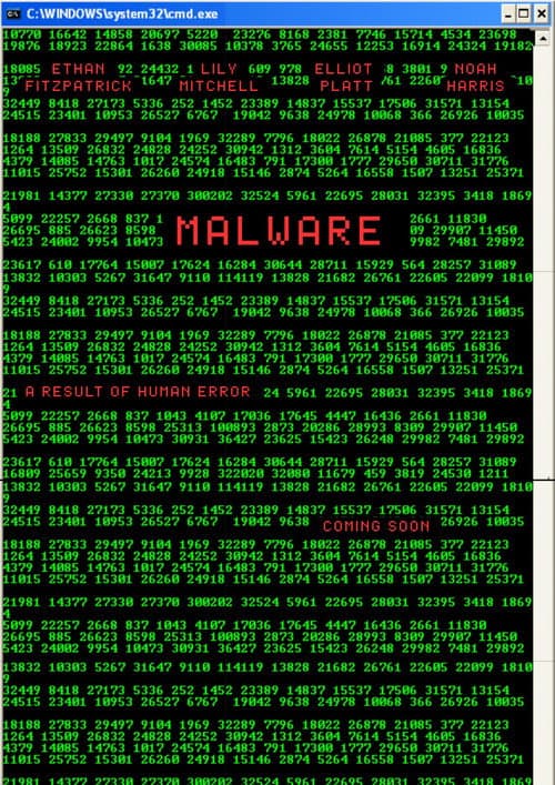 MALWARE
