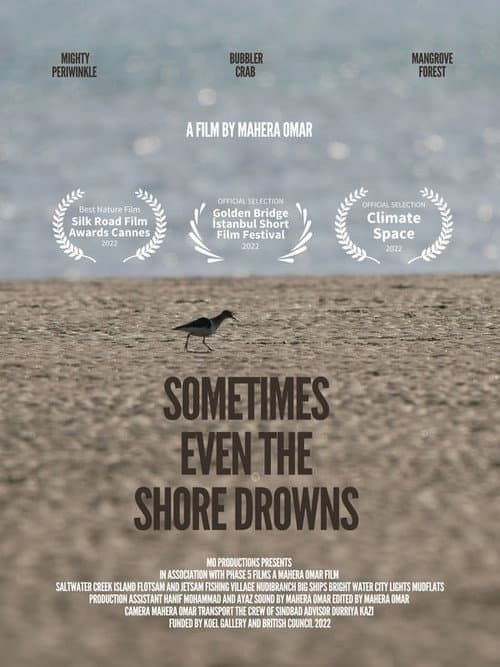 Sometimes Even the Shore Drowns