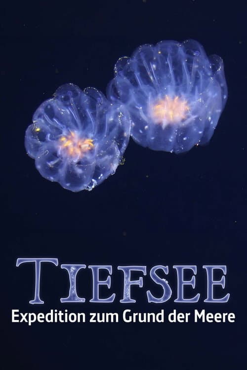 Faszination Tiefsee - Expedition zum Grund der Meere