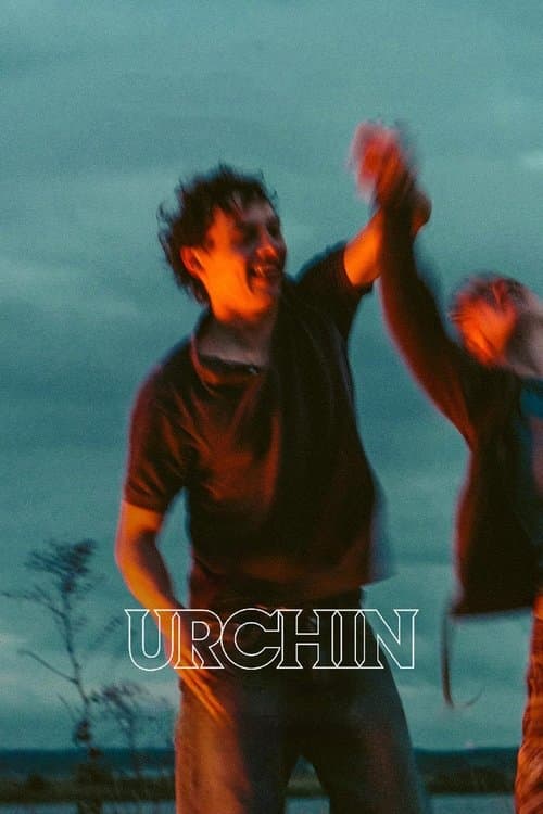 Urchin